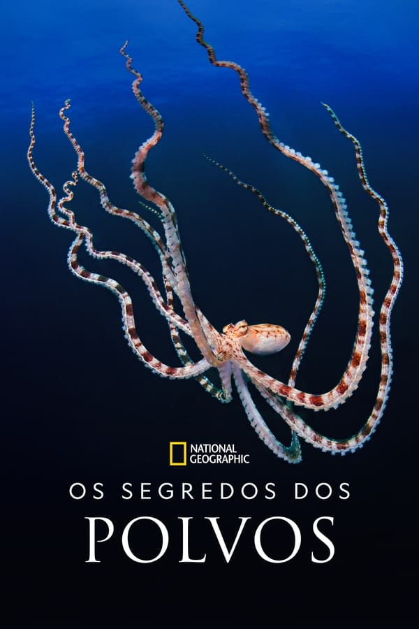 Pôster de Segredos dos Polvos