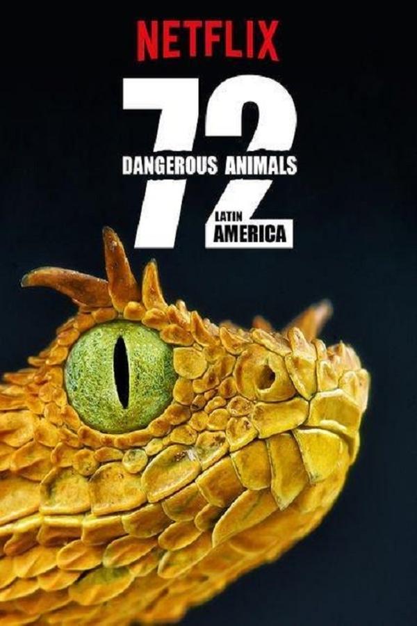 Pôster de 72 Animais Perigosos - América Latina
