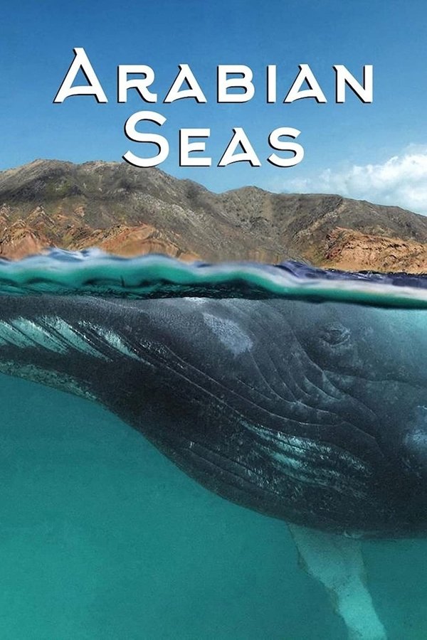 Pôster de Os Mares da Arábia