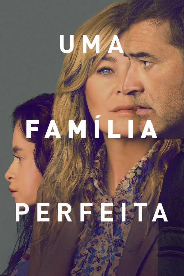 Pôster de Uma Família Perfeita