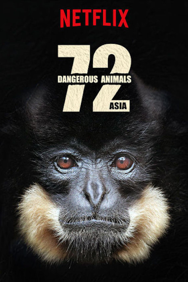 Pôster de 72 Animais Perigosos: Ásia