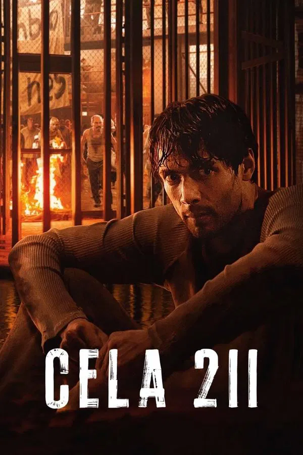 Pôster de Cela 211