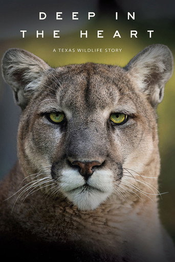 Pôster de No Fundo do Coracao - Uma Historia de Vida Selvagem do Texas