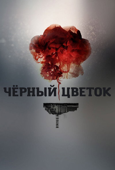 Pôster de Depois de Chernobyl