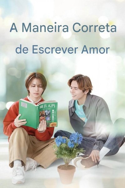 Pôster de A Maneira Correta de Escrever Amor