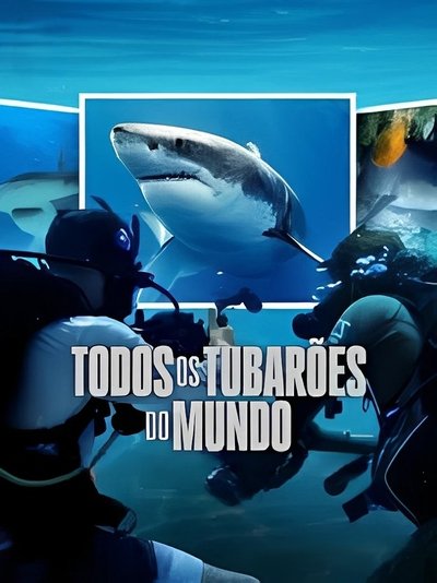 Pôster de Todos os Tubarões do Mundo