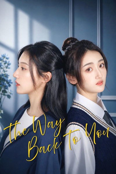 Pôster de The Way Back to You