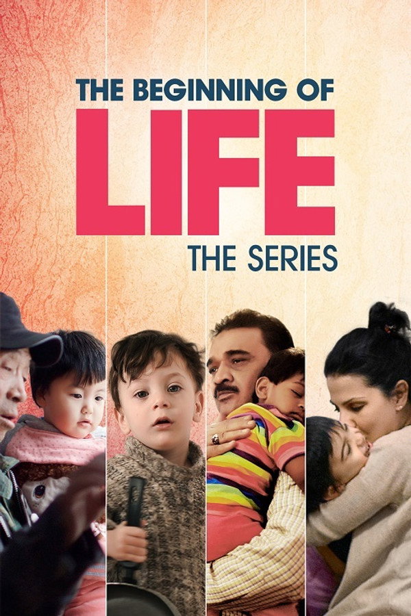 Pôster de O Começo Da Vida, Série