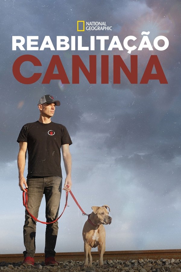 Pôster de Reabilitação Canina