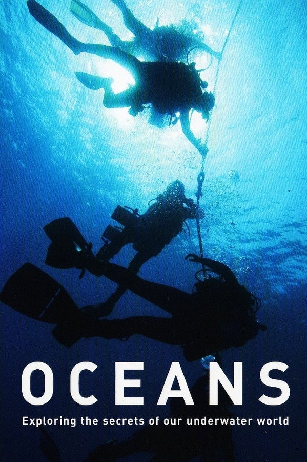 Pôster de Oceans
