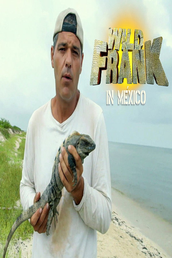 Pôster de Wild Frank