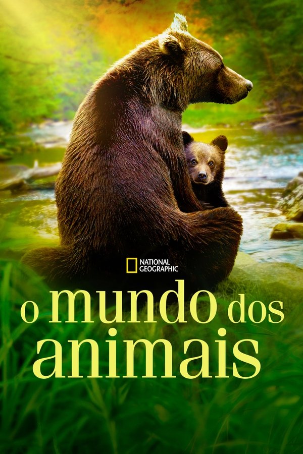 Pôster de O Mundo dos Animais