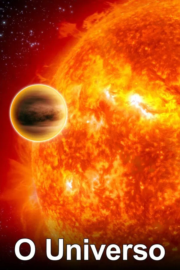 Pôster de O Universo